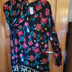Dress NWT from the  LOFT. Size XS. Black background with red & colorful flowers.